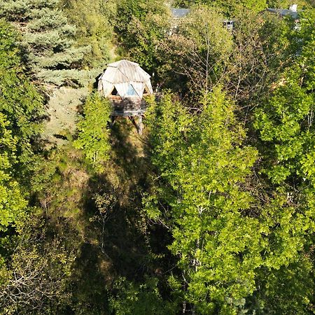 L'Oriel Du Senepy Pension La Motte-dʼAveillans Buitenkant foto
